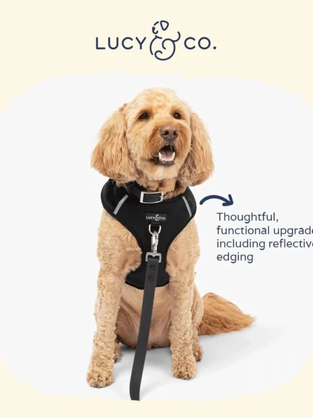 Lucy & Co No-Pull Harness - Size L